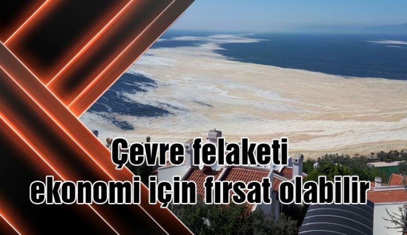 ÇEVRE FELAKETİ EKONOMİ İÇİN FIRSAT OLABİLİR