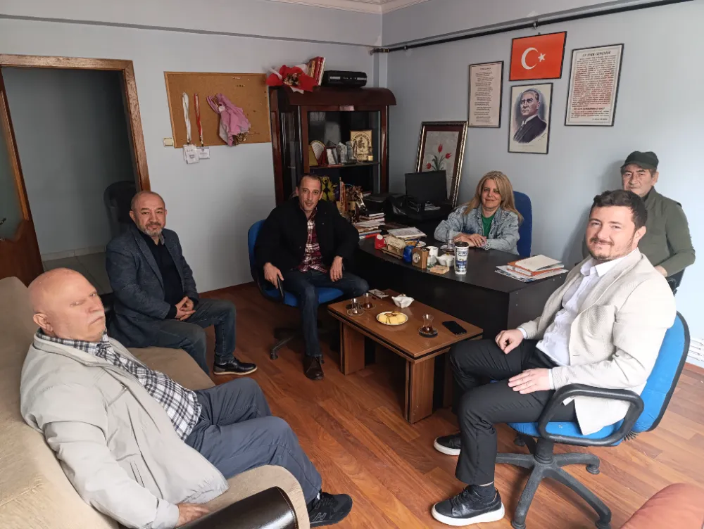 Lila  Kağıttan ERMED