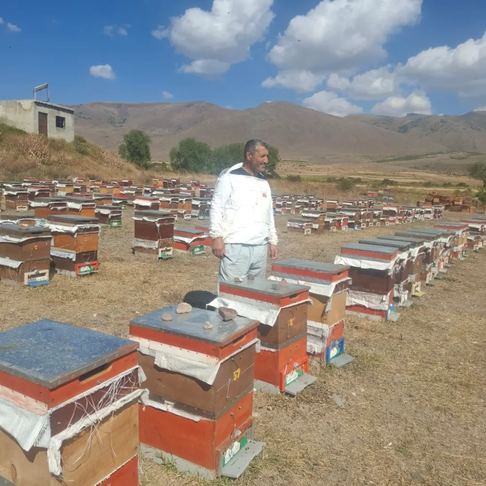 Erzurum’un Çat İlçesinde Arıcıların Ayı Nöbeti: “300 Kovanımız Var, Geçim Kaynağımız Tehlikede”