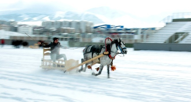 Erzurum?da atlı kızak yarışı